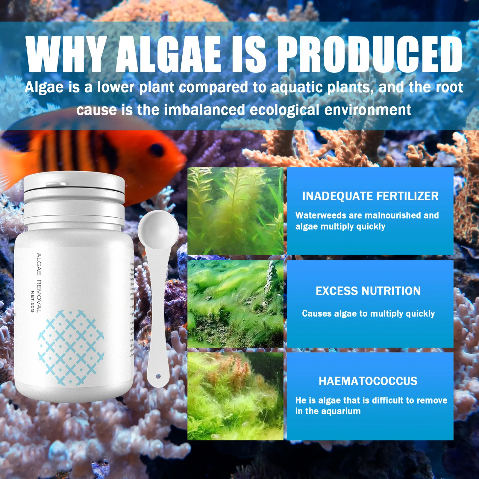 Algae Control Tablets for Aqua - Water Purification Tablet reseña y precio