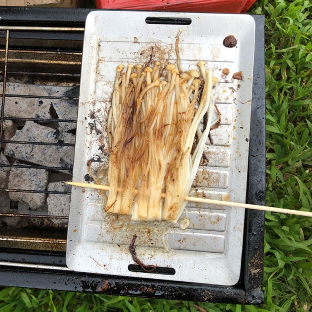 Durable Titanium Camping Grill - Camping Outdoor Cooking Set reseña y precio