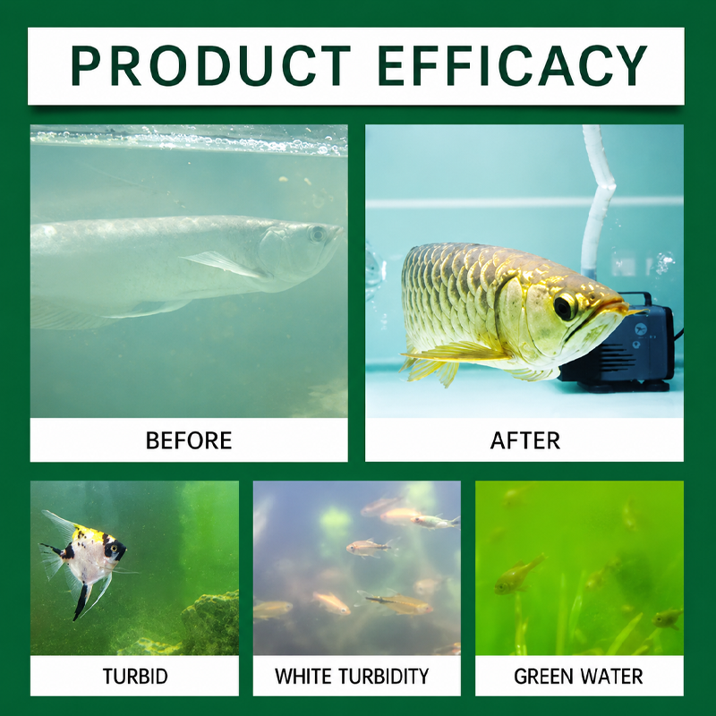 Aquarium Water Purification Ta - Water Purification Tablet reseña y precio