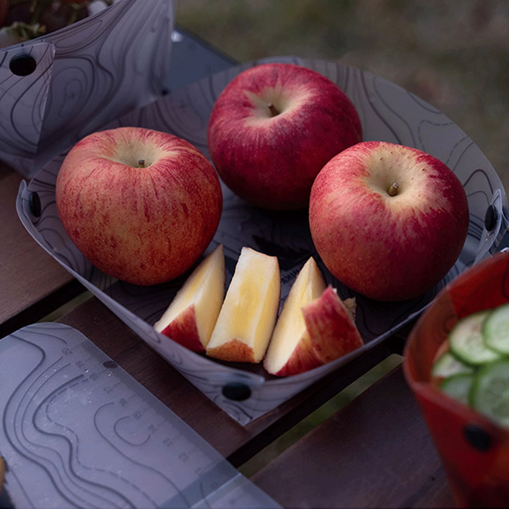 Outdoor Lightweight Folding Ta - Camping Cooking Plate reseña y precio