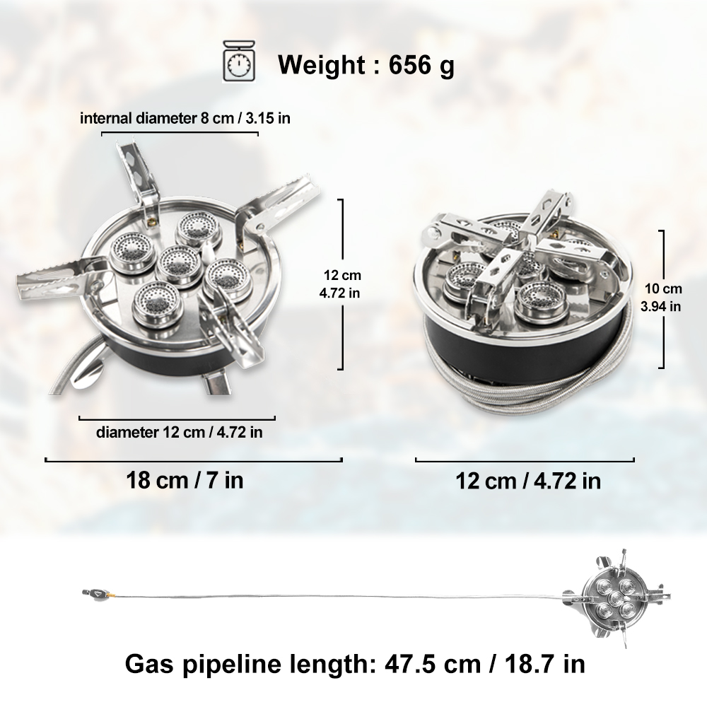 Widesea Camping 5in1 Gas Stove - Camping Cooking Plate reseña y precio