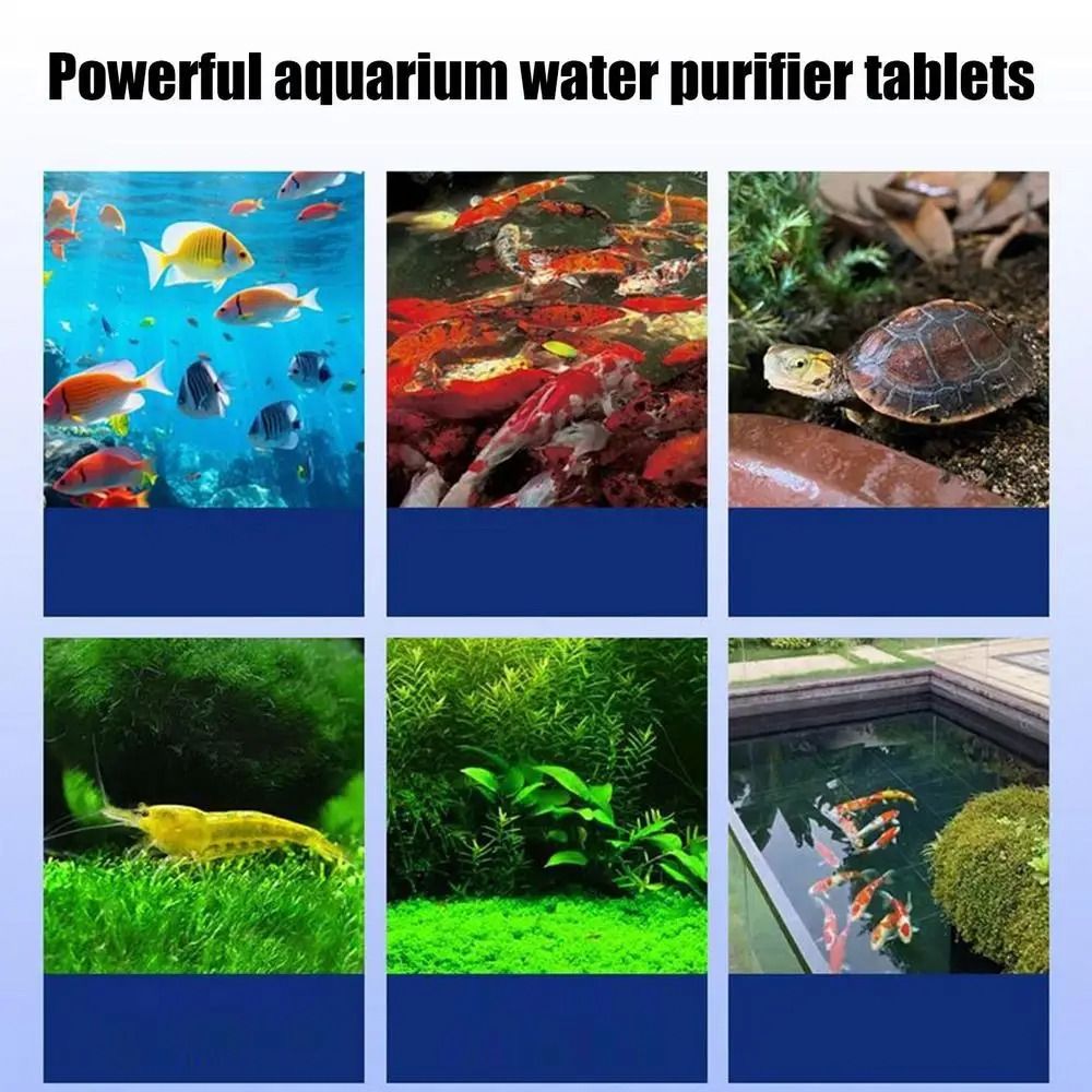 Powerful Water Purification Ta - Water Purification Tablet reseña y precio