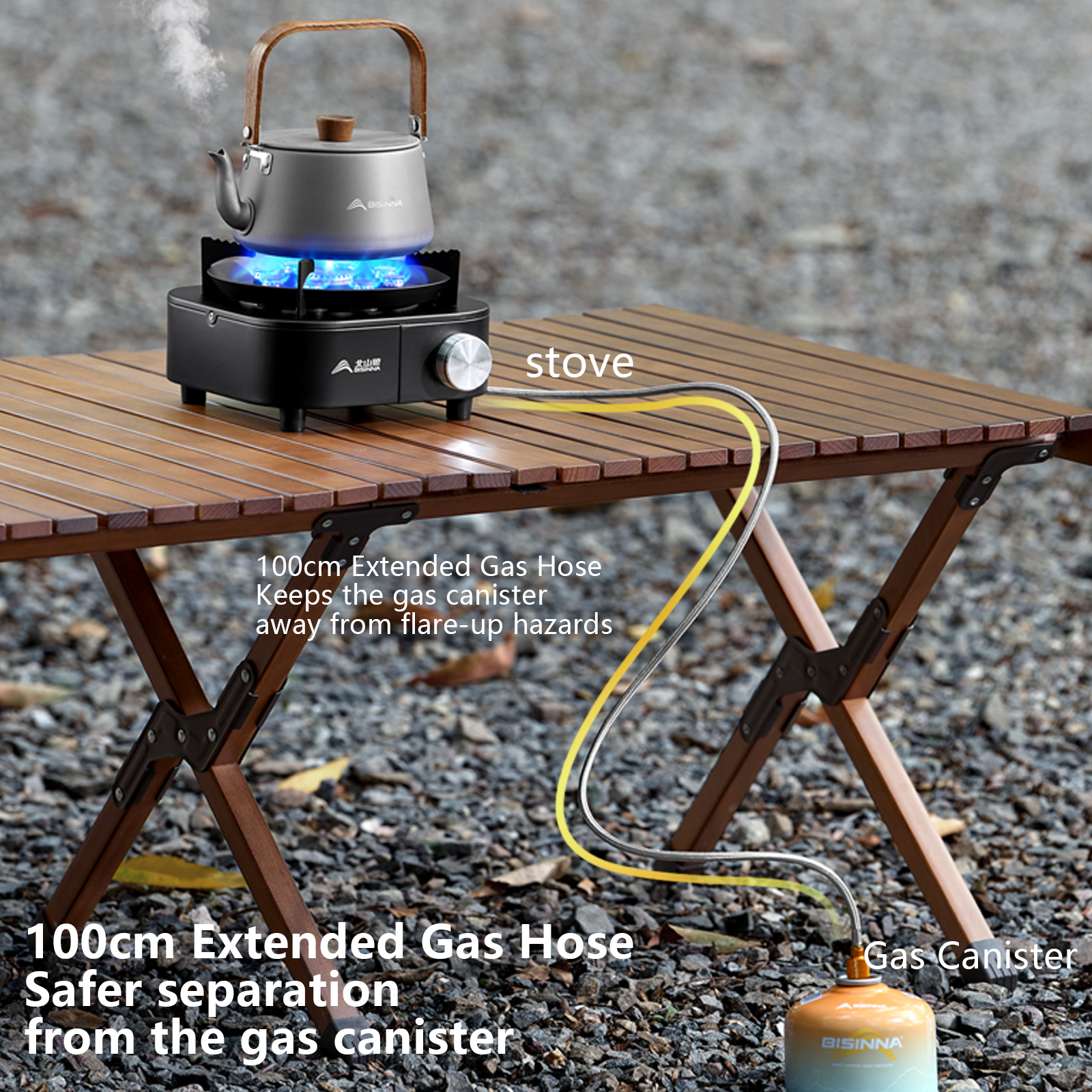 BISINNA Portable Camping Gas S - Camping Cooking Plate reseña y precio